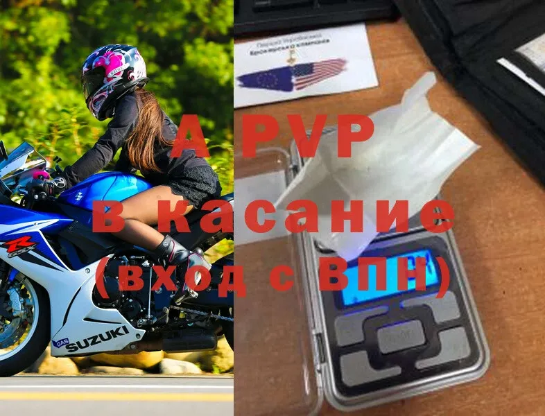 A PVP СК  Кирсанов 