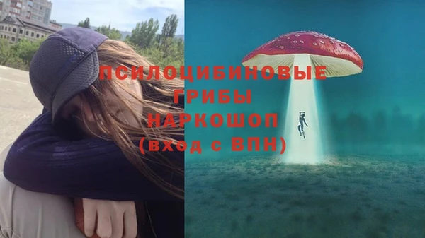 прущий лед Нея