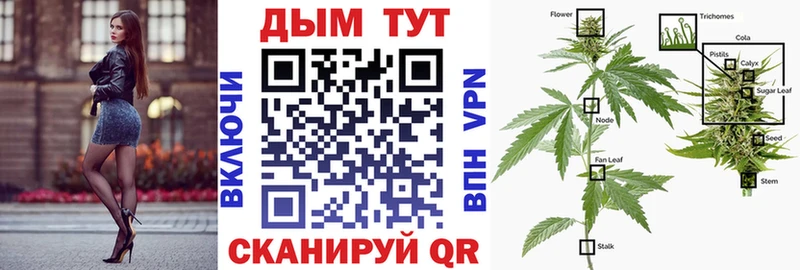 сколько стоит  Кирсанов  Конопля Bruce Banner 